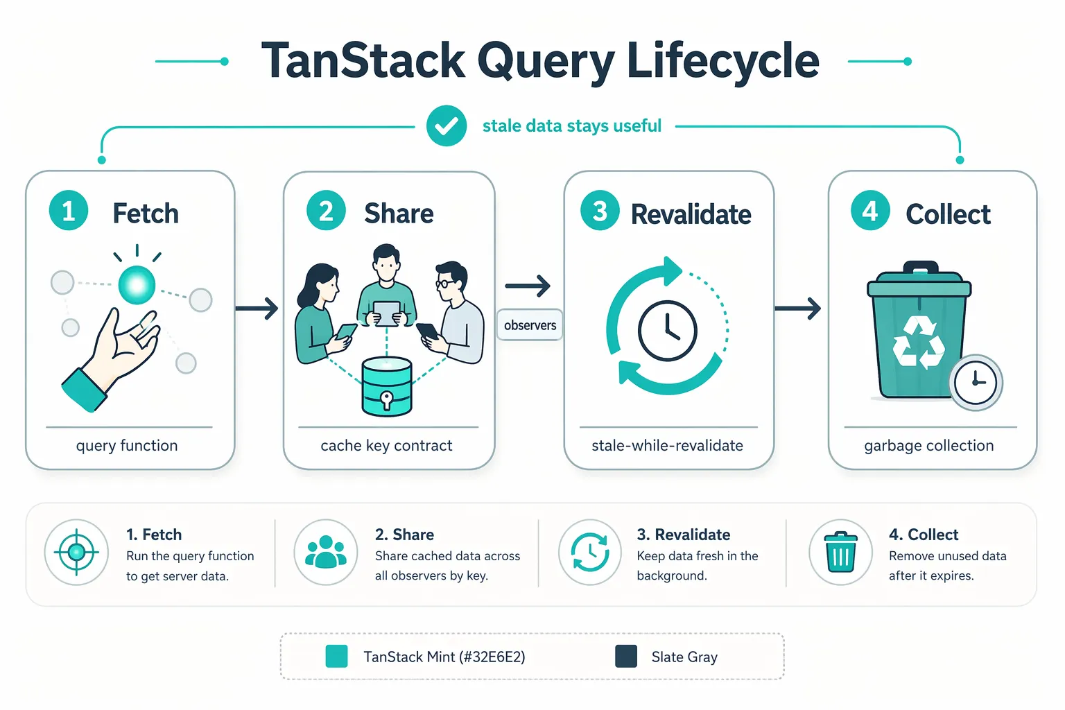 TanStack Query 4 步生命周期：Fetch / Share / Revalidate / Collect
